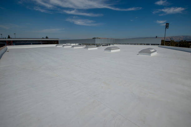 Best Sheet Metal Roofing  in Snellville, GA